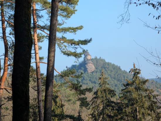 Glühweinwanderung zur Wasgau-Hütte,
19. Januar 2025
